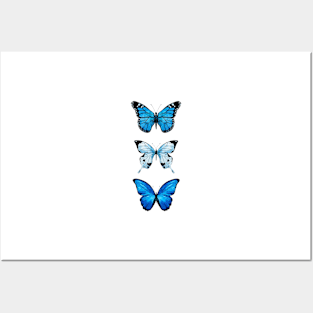 Blue Butterflies Posters and Art